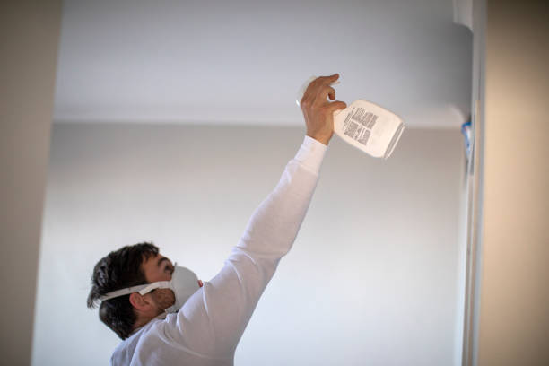 Best Same-Day Mold Removal  in Empire, CA