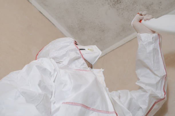 Best Commercial Mold Removal  in Empire, CA